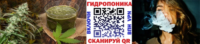 кракен как войти наркотики Сыктывкар Cannafood марихуана