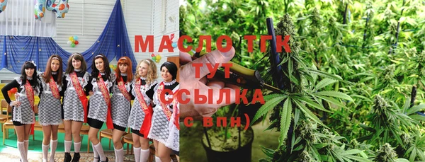 гашик Каменка