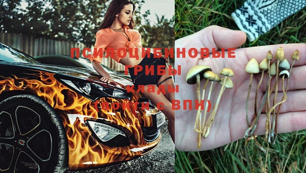 мдпв Абаза