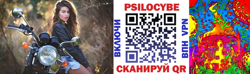 Галлюциногенные грибы Psilocybine cubensis  Сыктывкар 